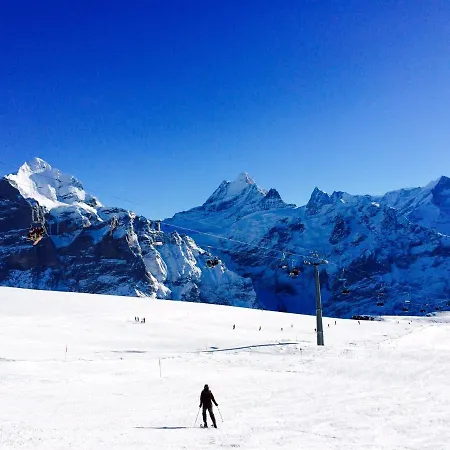 Luxury, New - Amazing Views Eiger Jungfrau Mönch *