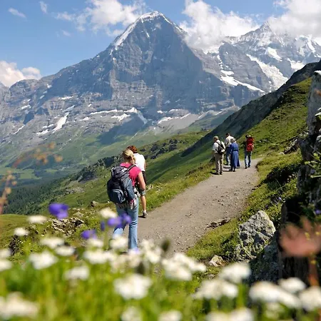 شقة Luxury, New - Amazing Views Eiger Jungfrau Moench