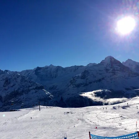 Διαμέρισμα Luxury, New - Amazing Views Eiger Jungfrau Moench Γκρίντελβαλντ
