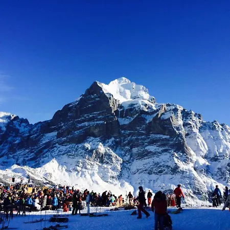 Luxury, New - Amazing Views Eiger Jungfrau Moench Διαμέρισμα