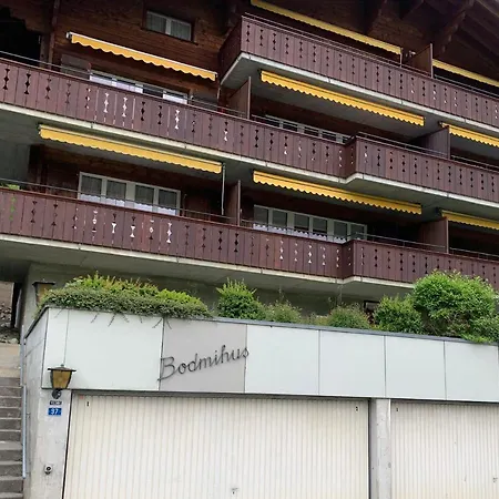 Luxury, New - Amazing Views Eiger Jungfrau Moench شقة