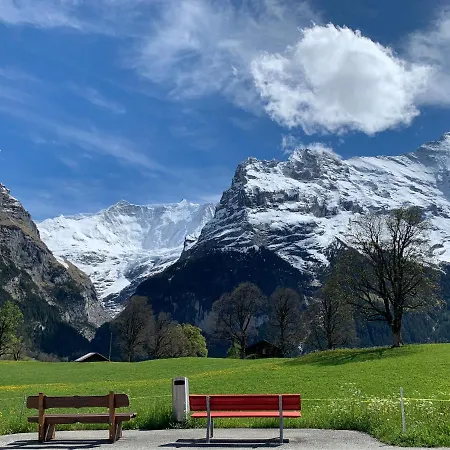 Luxury, New - Amazing Views Eiger Jungfrau Moench * Γκρίντελβαλντ