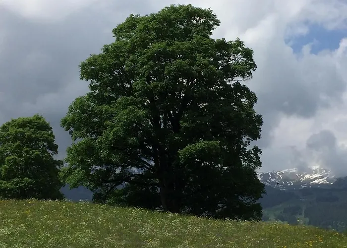 דירה Luxury, New - Amazing Views Eiger Jungfrau Moench גרינדלוולד