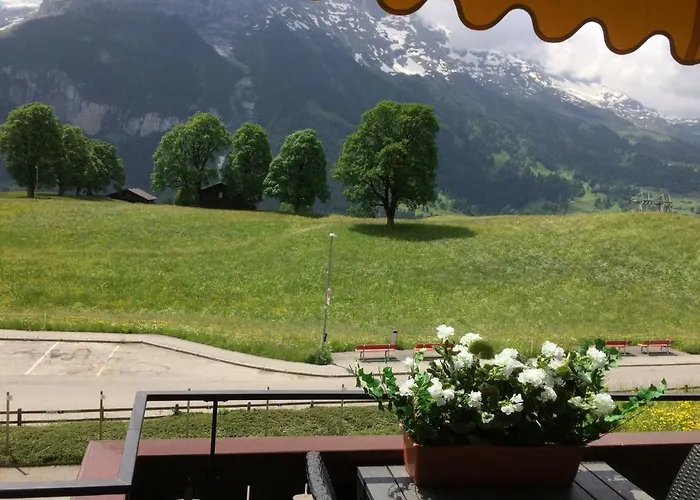 Luxury, New - Amazing Views Eiger Jungfrau Moench גרינדלוולד