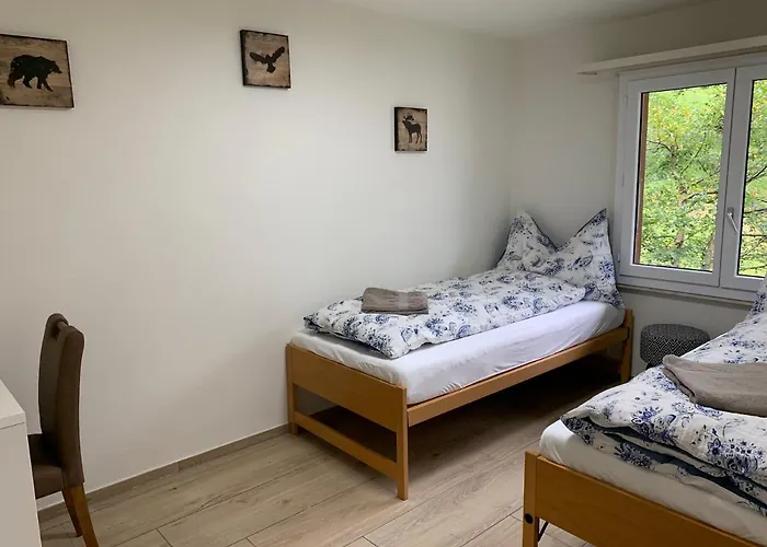 Luxury, New - Amazing Views Eiger Jungfrau Moench גרינדלוולד