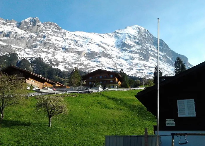 Apartamento Luxury, New - Amazing Views Eiger Jungfrau Moench *