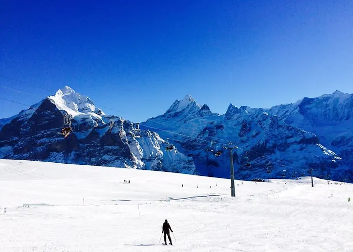 Luxury, New - Amazing Views Eiger Jungfrau Moench *