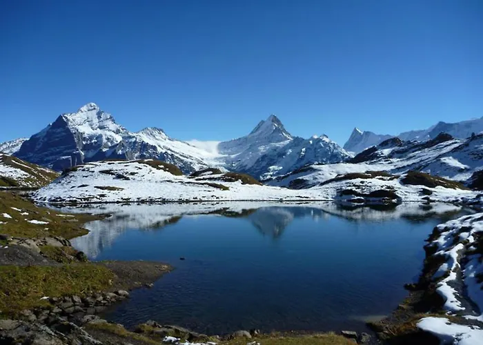 דירה Luxury, New - Amazing Views Eiger Jungfrau Moench גרינדלוולד