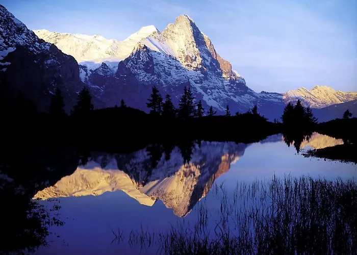 דירה Luxury, New - Amazing Views Eiger Jungfrau Moench