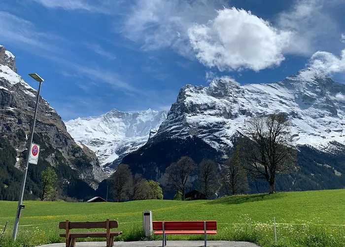 Luxury, New - Amazing Views Eiger Jungfrau Moench * גרינדלוולד