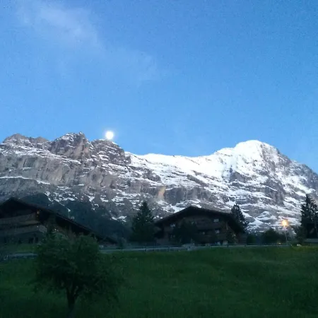Luxury, New - Amazing Views Eiger Jungfrau Moench Daire