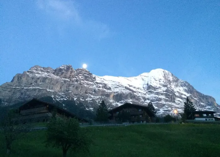 Luxury, New - Amazing Views Eiger Jungfrau Moench Daire