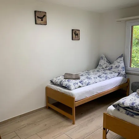Luxury, New - Amazing Views Eiger Jungfrau Moench Γκρίντελβαλντ
