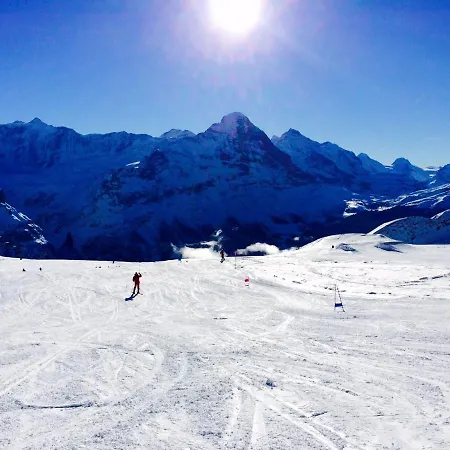 Luxury, New - Amazing Views Eiger Jungfrau Moench Γκρίντελβαλντ