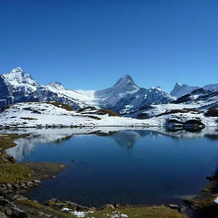 Διαμέρισμα Luxury, New - Amazing Views Eiger Jungfrau Moench Γκρίντελβαλντ