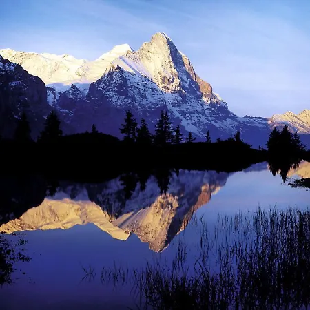 Διαμέρισμα Luxury, New - Amazing Views Eiger Jungfrau Moench